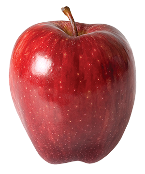 Red Delicious Apple